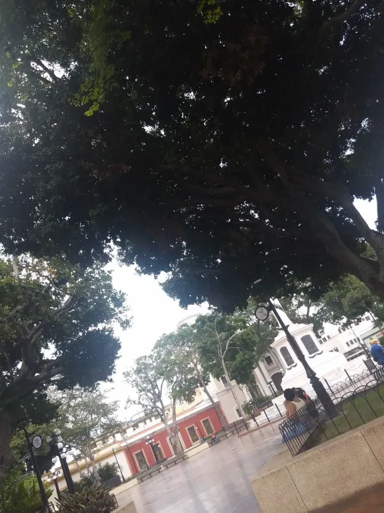 XOFCP6EghF8vnNEn_IMG_20250603_182629_761.webp