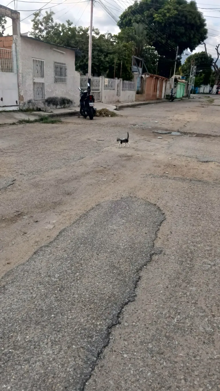 pWfOwuuKOKj3KaZc_1000501585.webp