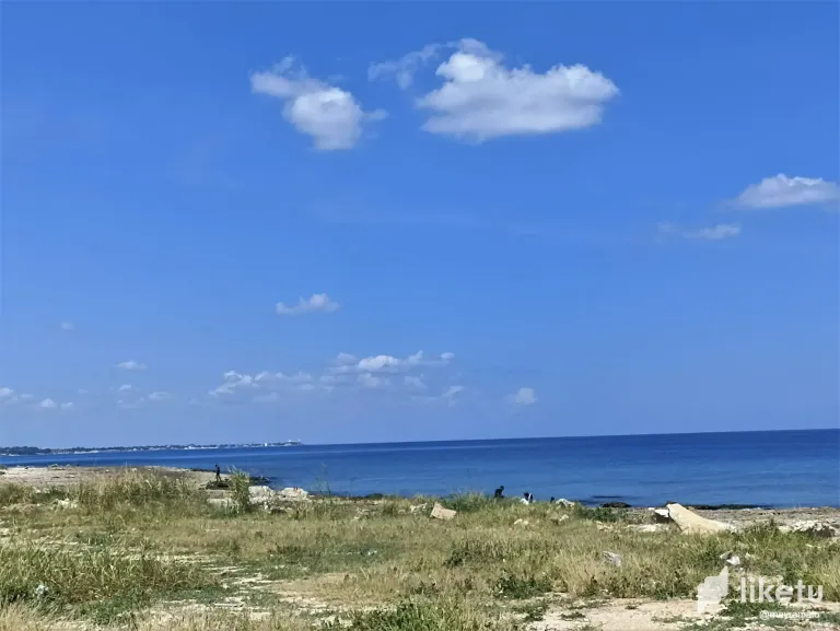 btvsgcHHA52nhAFO_9a.webp