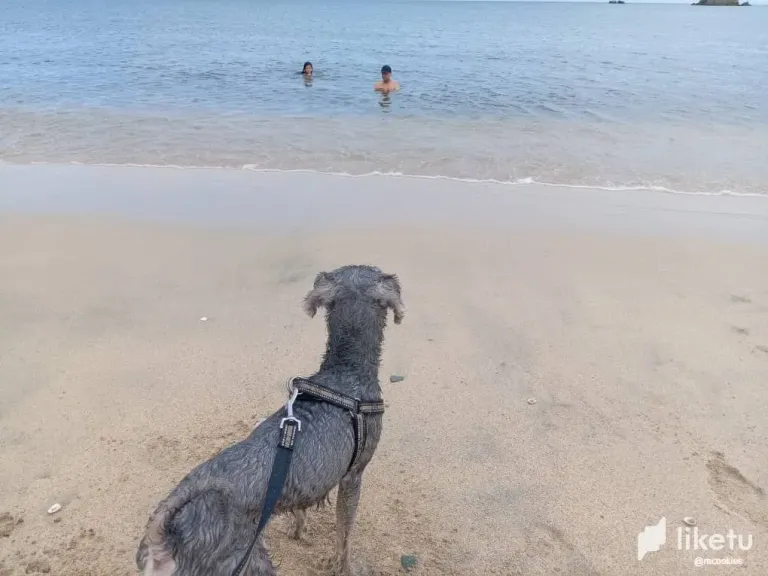 73UlXteQouikjPHs_playa6.webp
