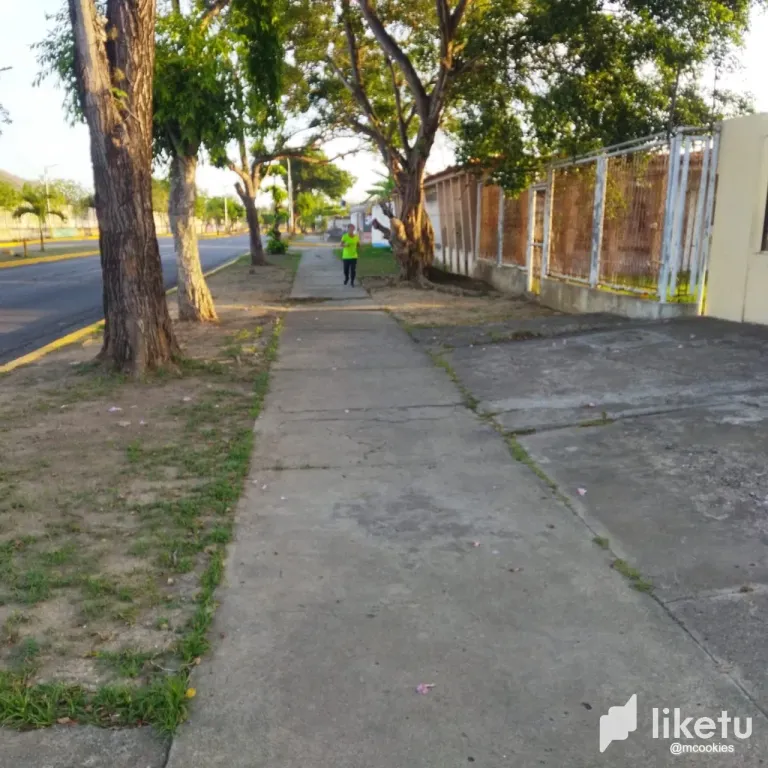 A77tcf8ExsX0LgvD_30041.webp