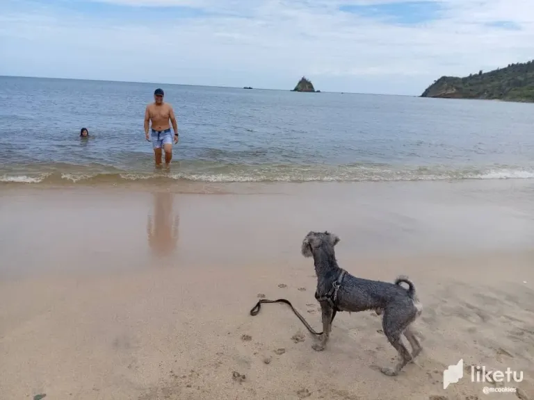 BgLT8VVrPKNl9Ij6_playa2.webp