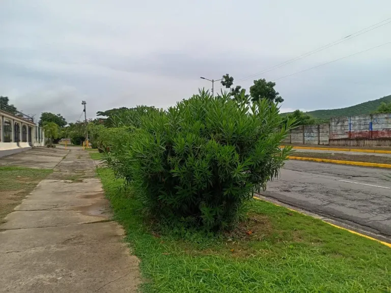 Knta7LMNrorQa1V2_10067.webp