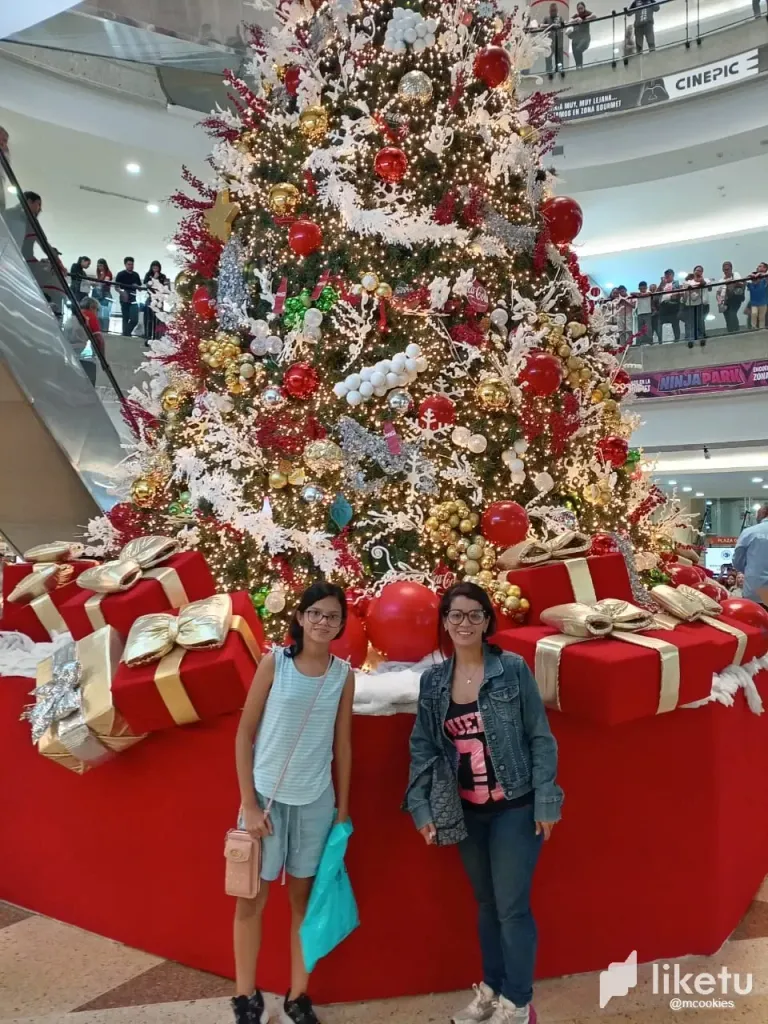 MpvuBnSCpWAhJQwT_navidad8.webp