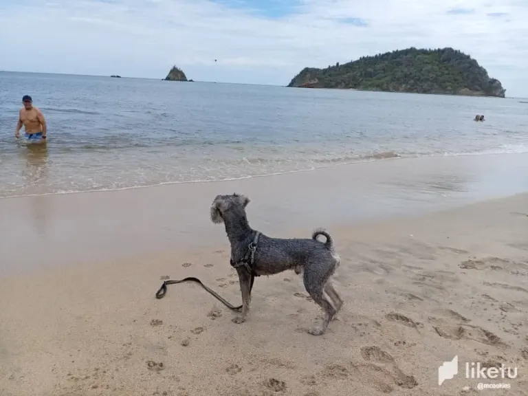 bO0wvk2c5IB6j7sI_playa5.webp