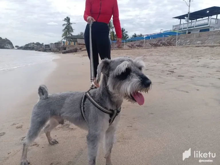 bT310QBhEhyKKy1O_playa7.webp