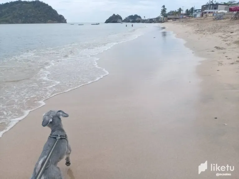 iZnuFMXBBLx9N7s9_playa1.webp