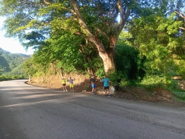 qqVxk3eQLDG1hsQa_22066.webp