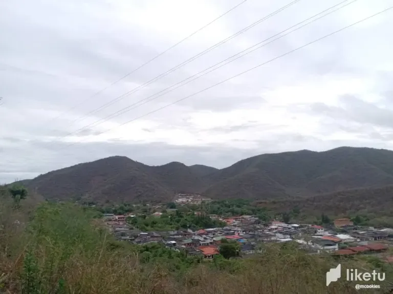 xT0uRZSVnbBJz1l7_24048.webp