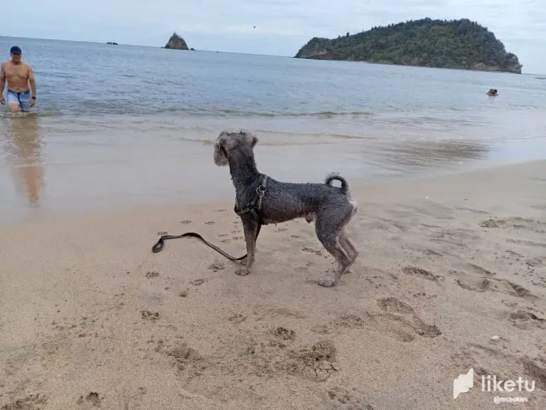 zz6Ldw8rCUGjczip_playa3.webp