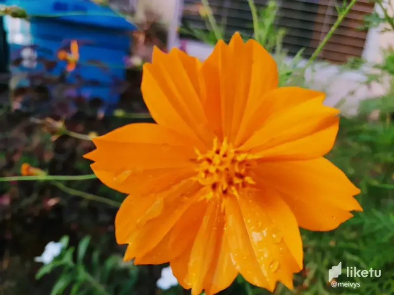 cl8xqld3x00l72ckcehtb60ig_20221006_1739292.webp