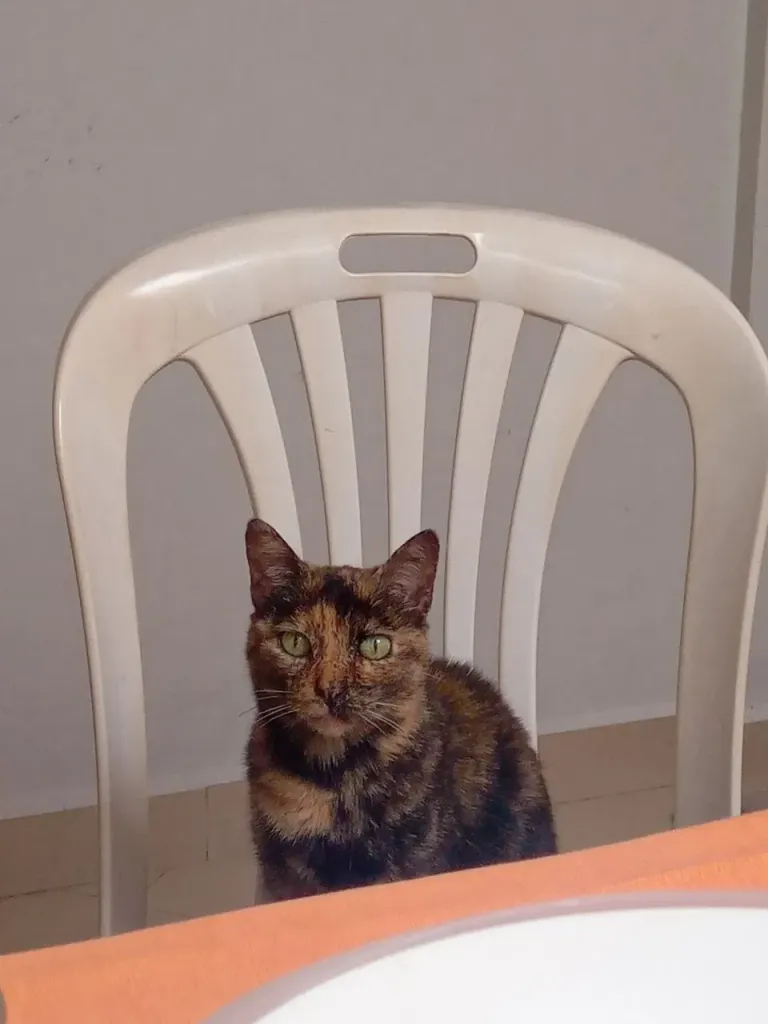 ok0wx1kLX48ZGj0M_photo_2025-07-29_08-01-19_2.webp