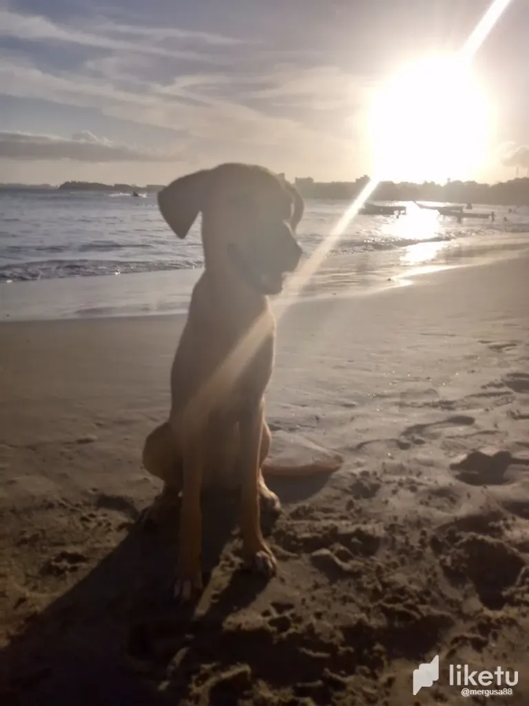 VHRxfY3u4Kc7IklC_Foto_playa_8.webp