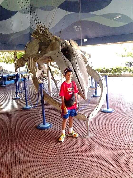 cl8mj3s4n029724kcdszf9w39_20151024_112312.webp