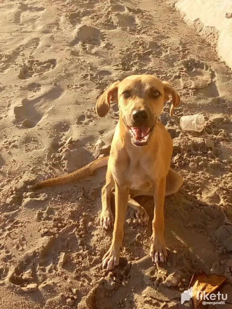 gKnh6XHlq1tyxGFC_Foto_playa_3.webp