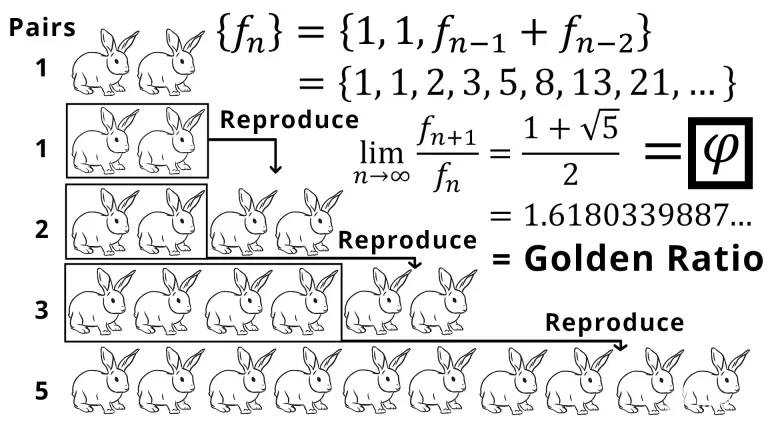 tt2XzLb4HJlFg4cy_17_Exercise_4_Fibonacci_Sequence.webp