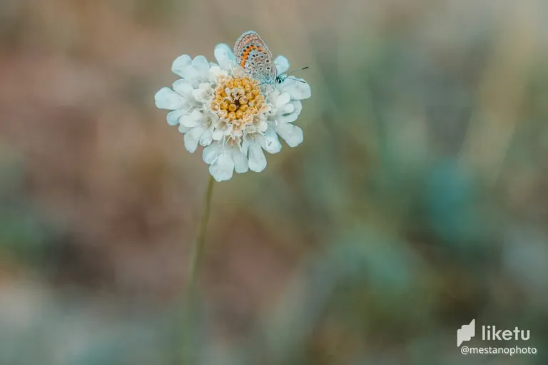 cl7m89xry021j1wm738njd8ci__MES0009-min.webp