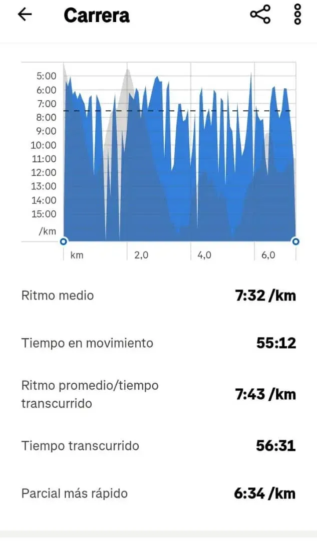 GpGSQNckXVaVTeBU_Ritmo_Strava_29012025.webp