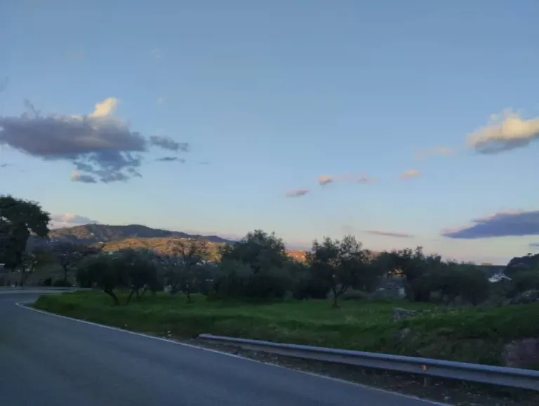c3IUPMeumnWIEVyT_Paisaje_Domingo_02022025_2do..webp