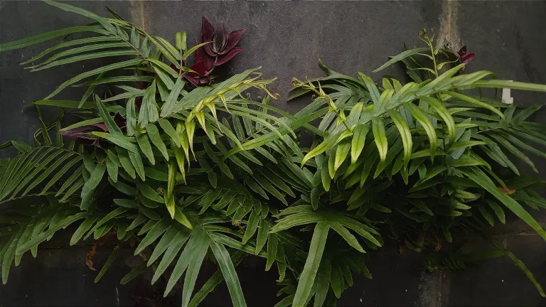 TPifNY2C29hX2AJT_1.webp