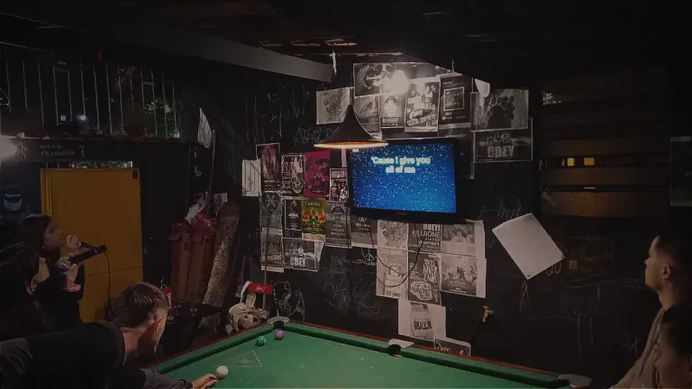 Karaoke night