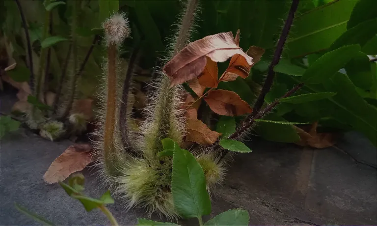 vhGk4Dzb5g4EDxPc_5.webp
