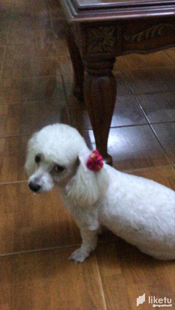 cla6w5xhd004v0imj6mjy31ld_WhatsApp_Image_2022-11-07_at_10.20.59_AM_2.webp