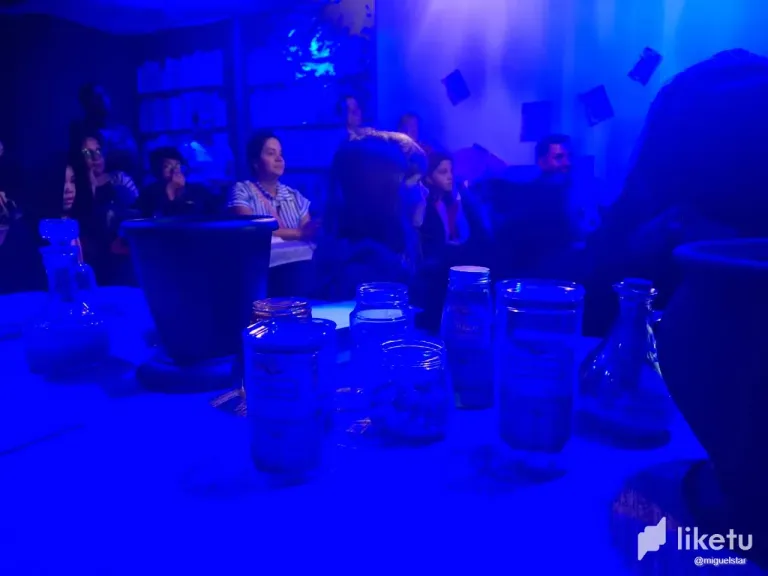 WgKBpiviyICVAKhy_WhatsApp_Image_2025-01-06_at_6.06.40_PM.webp