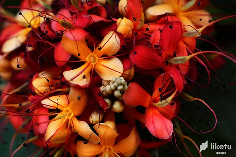 clf86zqnz0074boszcuazfb3t__MG_2841_InPixio.webp