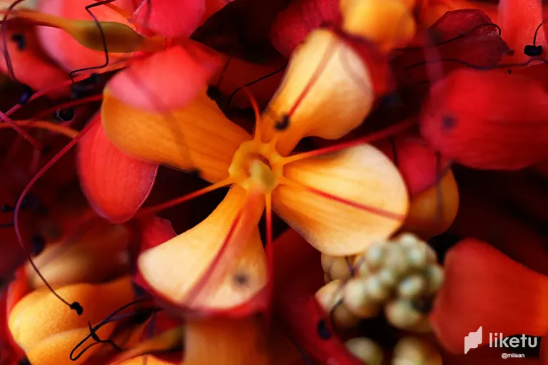 clf8708f800725nsz2rss9e6b__MG_2842_InPixio.webp