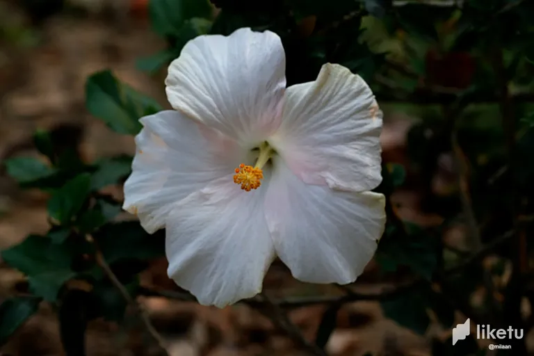 clf8709j6006q6tsze3jqavm0__MG_2843_InPixio.webp