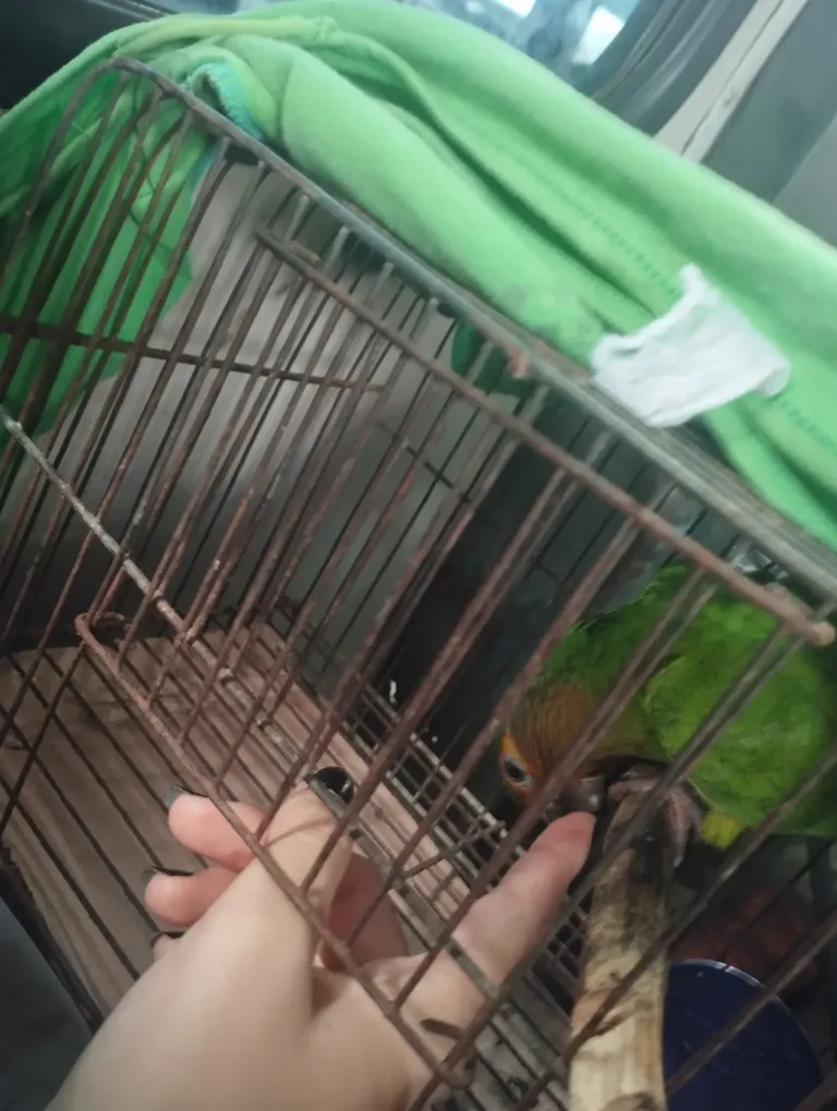 Fccburkbfe0USosM_1000911378.webp