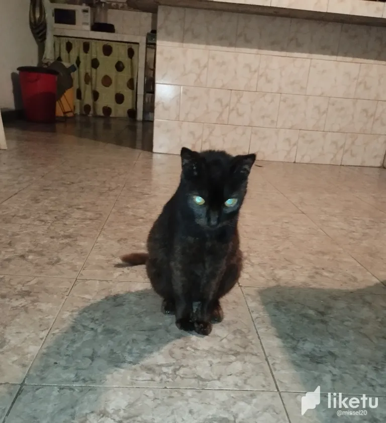 clsv7a9cs000tnssz4c4b4uff_1000117131.webp