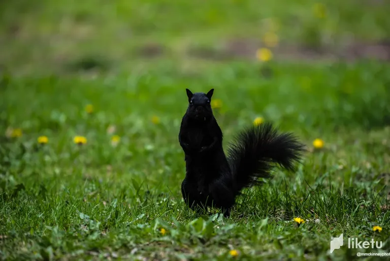 clbfd0zuk02u320oqglgqhjva_DSC_1430.webp