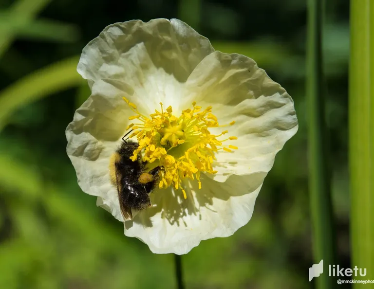 clhdkf1bm00j42fszbc25bv8y_DSC_2339.webp
