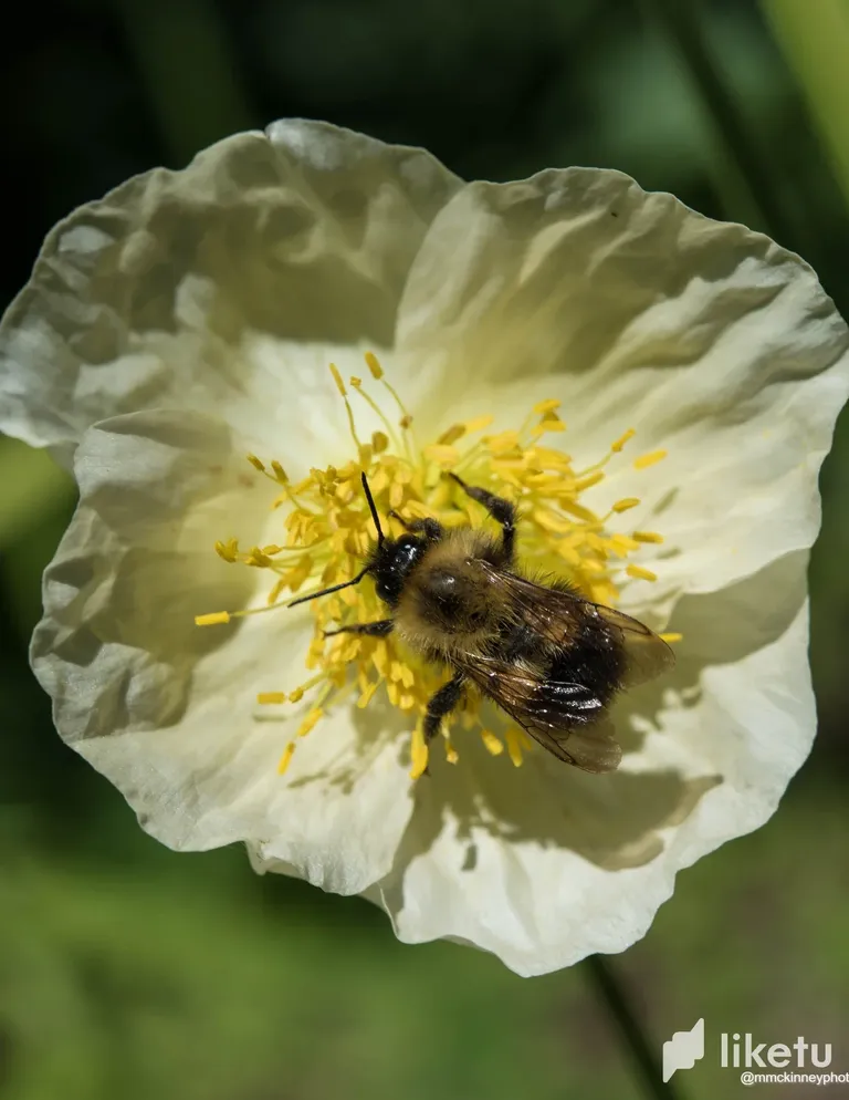 clhdkf4re00j48csz0ky3avmc_DSC_2373.webp