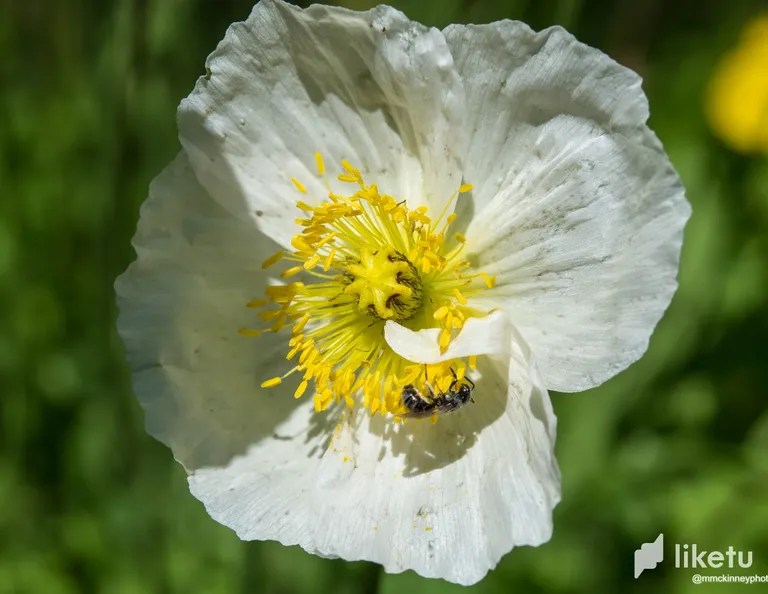 clhdkf65800ij95sz05fm40vv_DSC_2380.webp