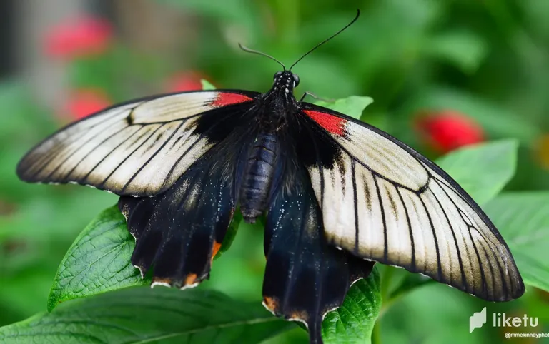 cliud3st900b62esz1mp6332u_Calgary_Zoo_May_28_2012-3565.webp