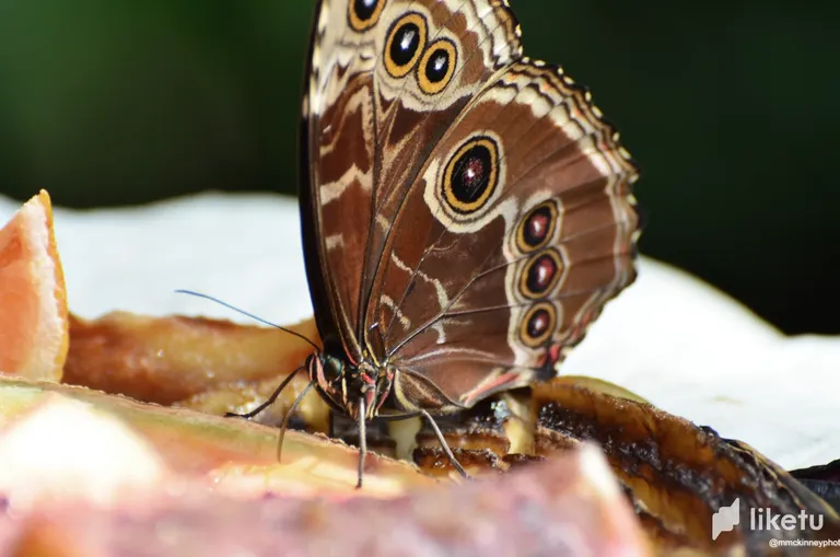 clj1kxcud00sa8osz01bl28ex_DSC_1426_edited-1.webp