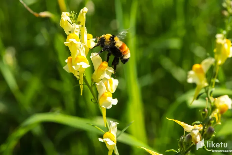 clltm5hwh01156tszgfed1lcv_DSC_3325.webp