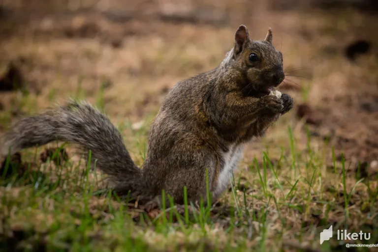 cllweb96u005p6usz3k10gf57_DSC_9232-Edit.webp