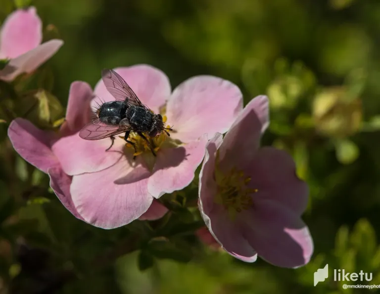 clpwwbc4x03v7bfsz5359cawy_DSC_2737.webp