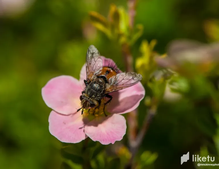 clpwwbist001ttlszagsz7rpa_DSC_2687.webp