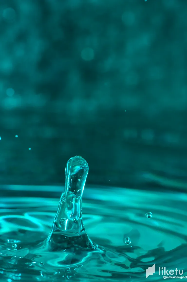 clrp4ywqh00cfkgszg3n69jy1_DSC_0612.webp