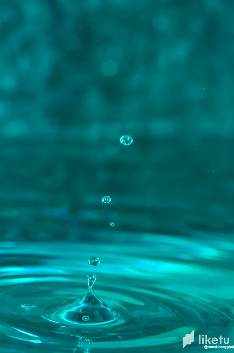 clrp4z0yl00cikgszd5o4aawz_DSC_0611.webp