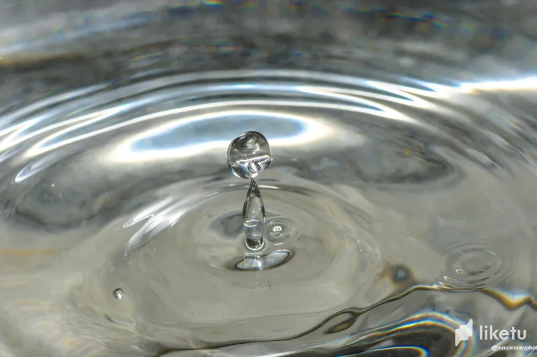 clrp4z2wq00clkgszgpj36sgg_DSC_0103.webp