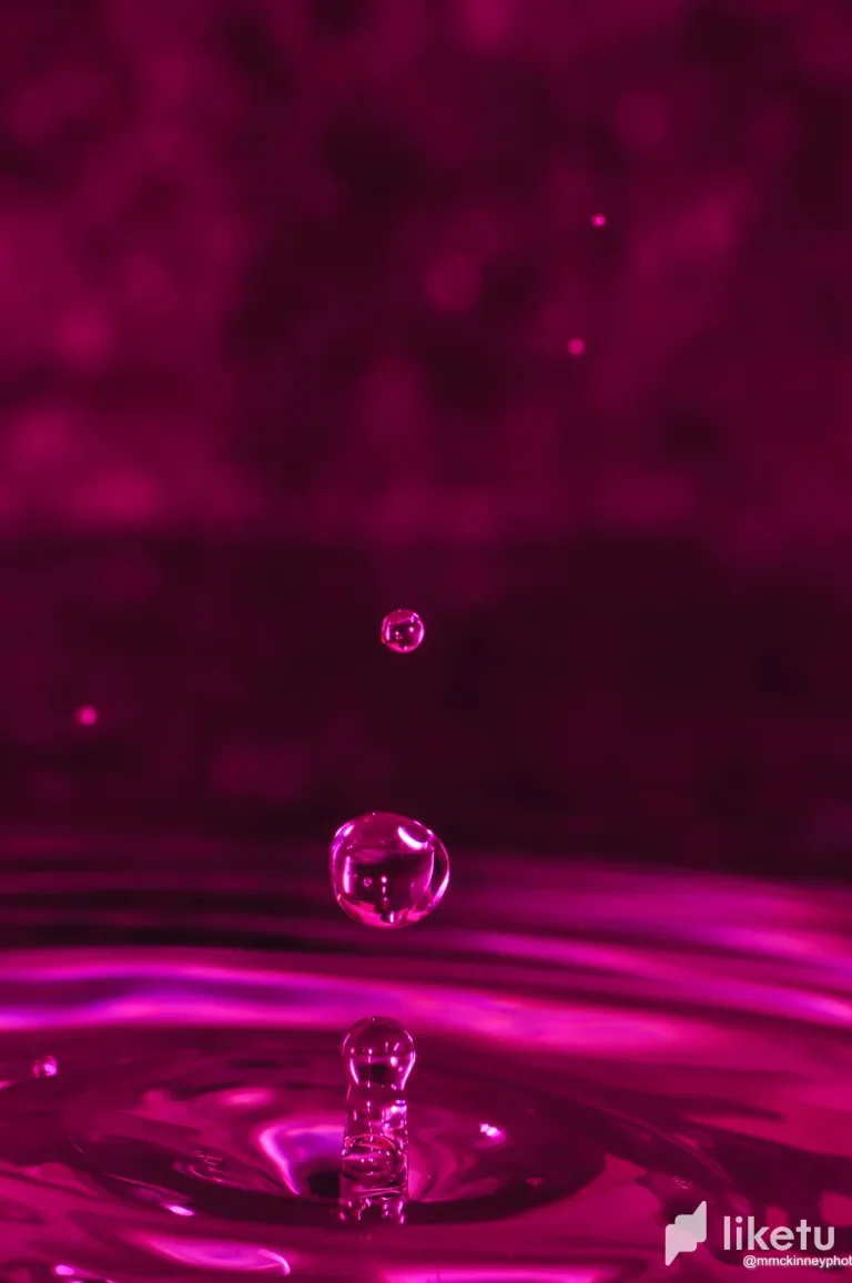 clrp4z6v700crkgsz97or3gq7_DSC_0599.webp