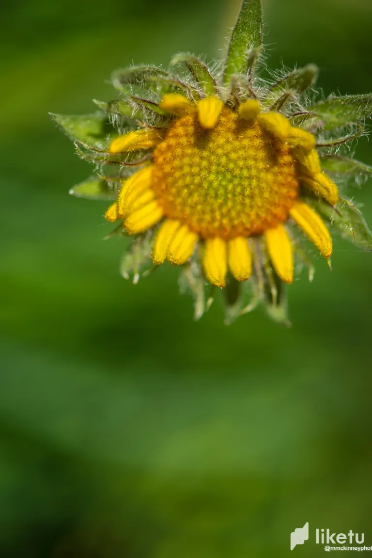 clsukj5rl01i36eszdpc082yl_DSC_9503.webp