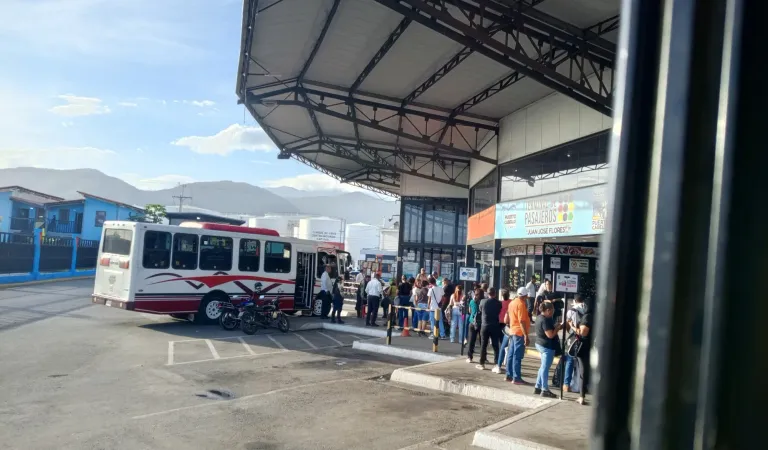 zEzgecvIdu4xMnA1_1000200053.webp