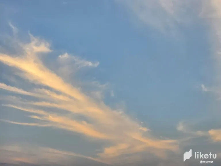 GbckbPzveWVDyqp9_2.webp